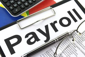 Employee Payroll PAYE services