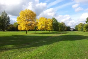 Accountants in Canons Park