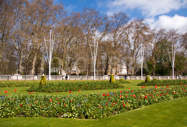 Accountants in Green Park